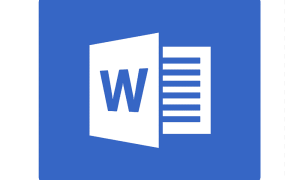 MS Word